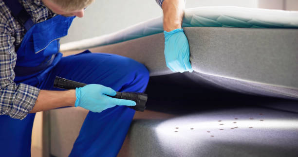 Best Pest Control for Restaurants  in Navarre Beach, FL