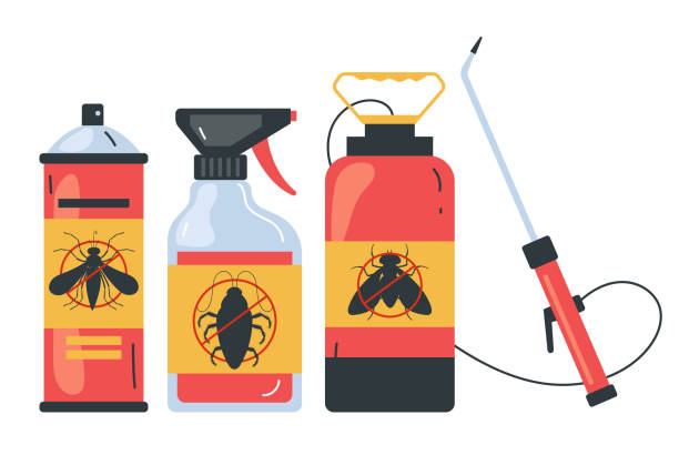 Best Pest Removal Services  in Navarre Beach, FL