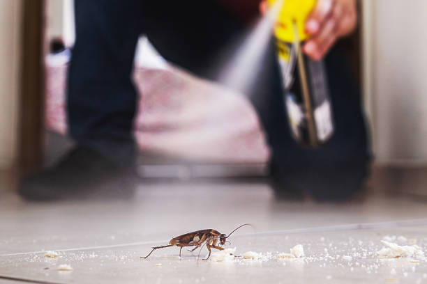 Best Best Pest Control Companies  in Navarre Beach, FL