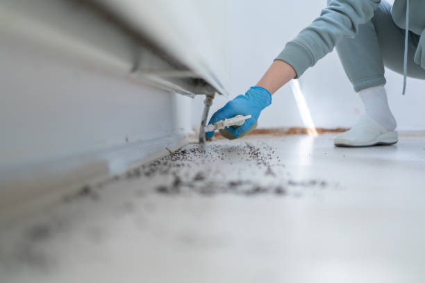 Pest Control for Restaurants in Navarre Beach, FL
